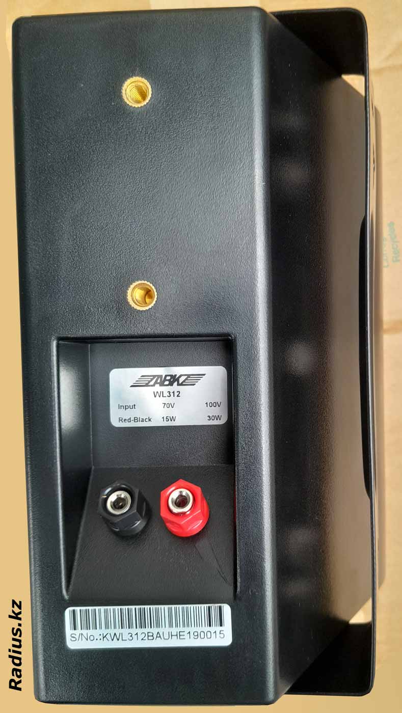 Как подключить трансляционные АС DSPPA WL312B