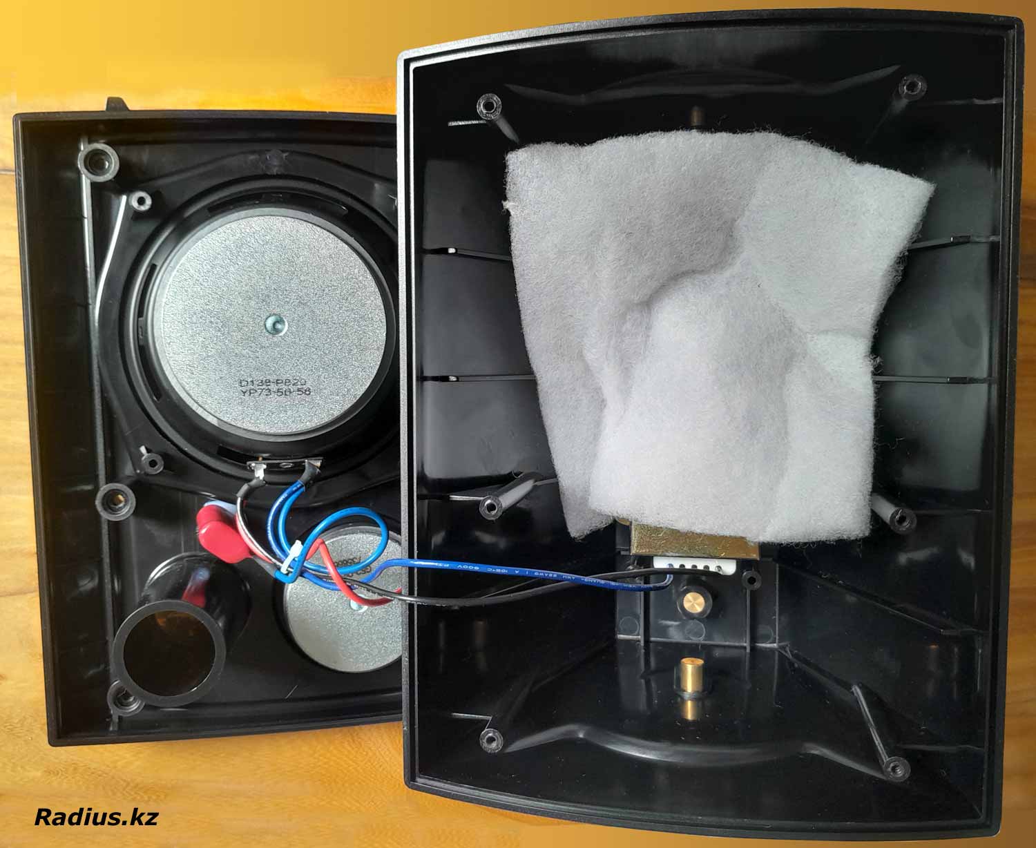 DSPPA WL312B разбираем колонки и смотрим что внутри