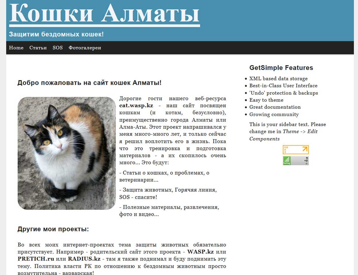 Сайт бездомных кошек Алматы, защита животных!