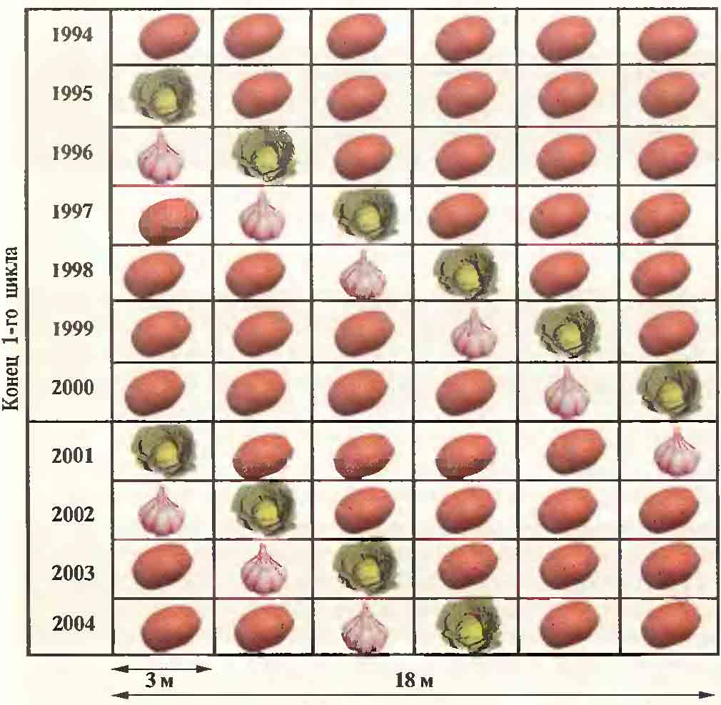 Порядок чередования культур по годам для картофеля