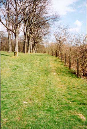 The course of the fort's southern wall